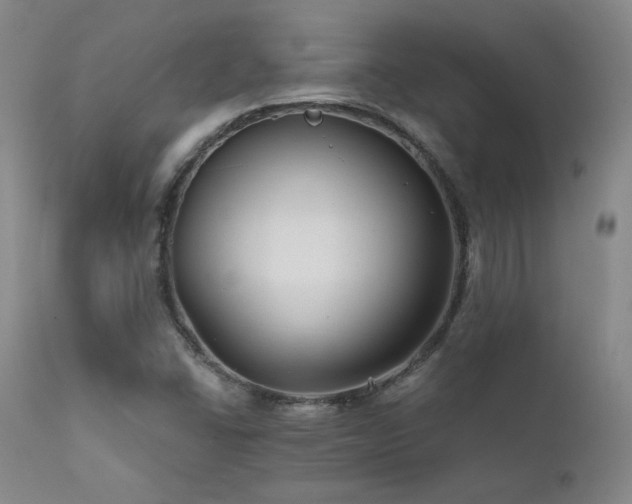 X0000111511406200907141325