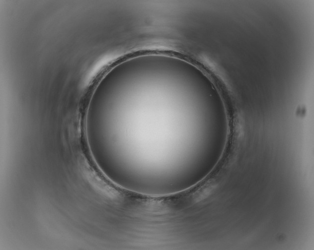 X0000111511408200907141325
