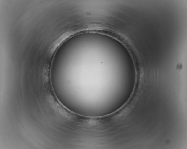X0000111511409200907141325