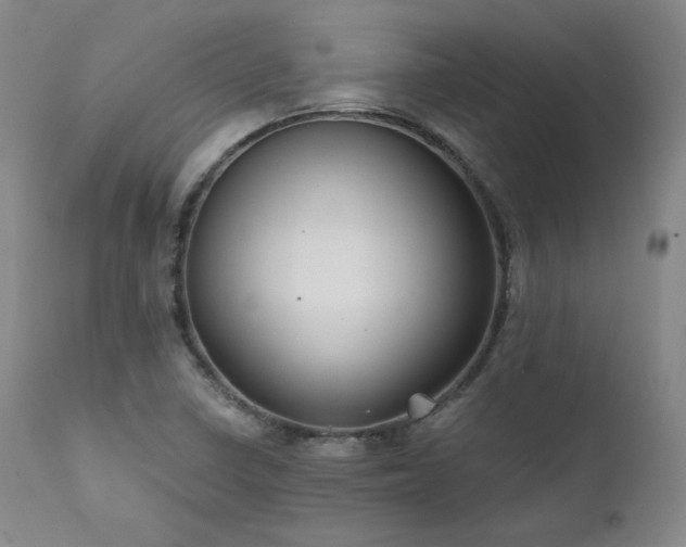 X0000111511410200907141325