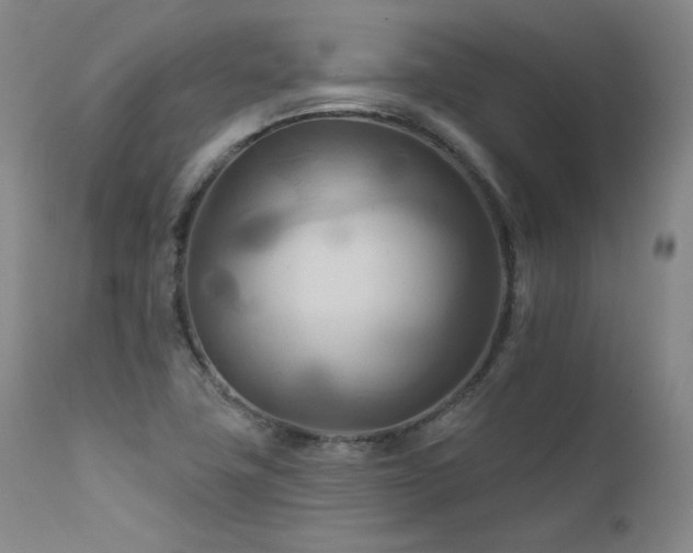 X0000111511411200907141325