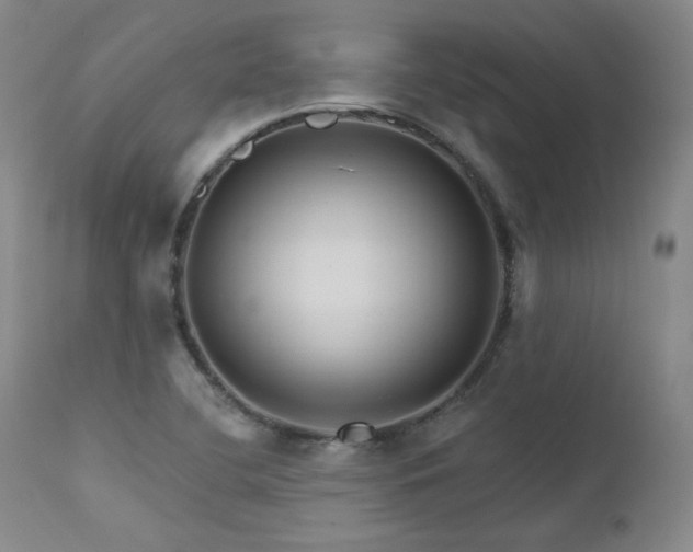 X0000111511412200907141325