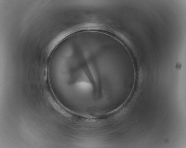 X0000111511413200907141325