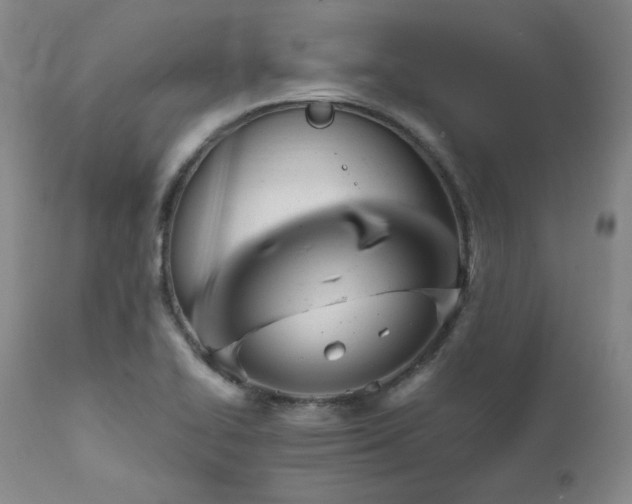 X0000111511414200907141325