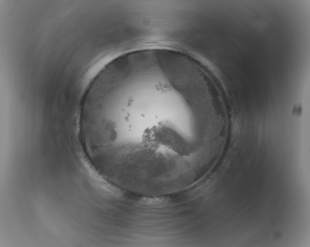 X0000111511415200907141325