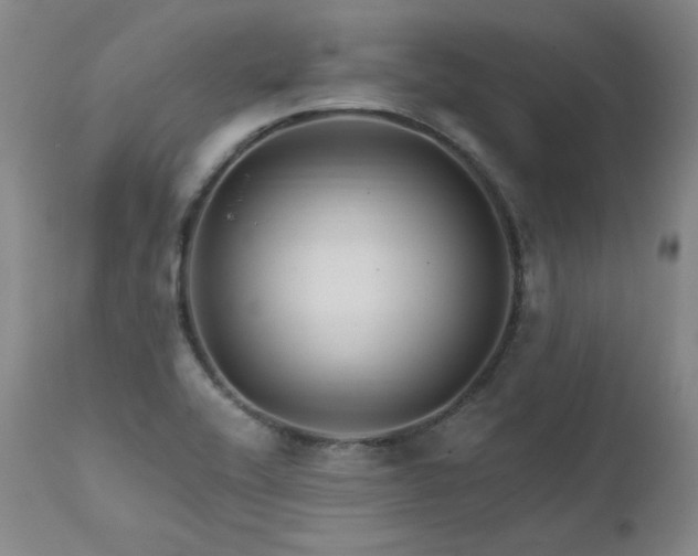 X0000111511416200907141325