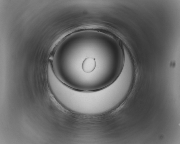 X0000111511417200907141325