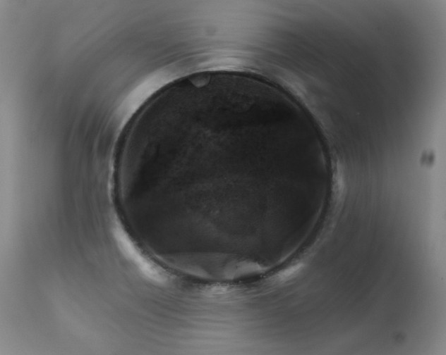 X0000111511418200907141325