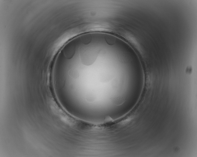 X0000111511419200907141325