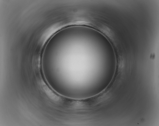 X0000111511420200907141325