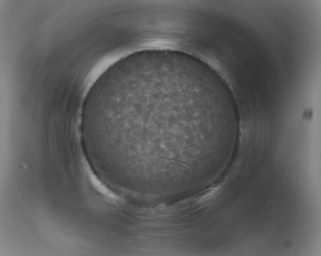 X0000111511421200907141325