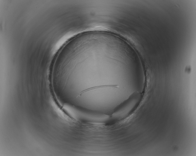 X0000111511422200907141325