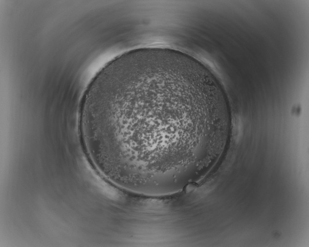 X0000111511424200907141325