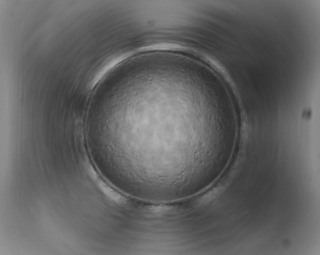 X0000111511425200907141325