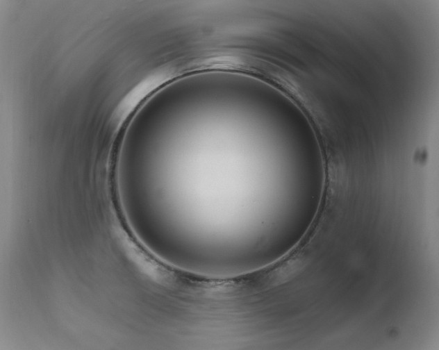 X0000111511426200907141325
