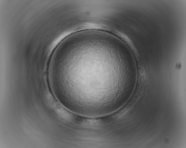 X0000111511427200907141325