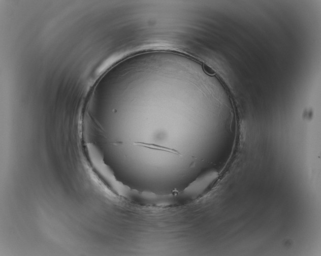 X0000111511428200907141325