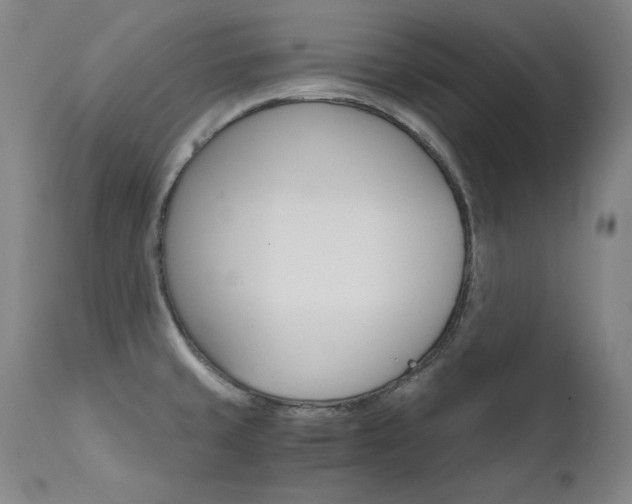 X0000111511429200907141325