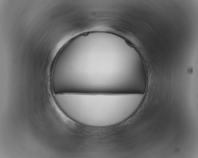 X0000111511430200907141325