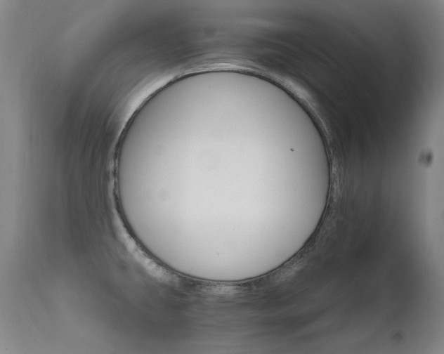 X0000111511431200907141325