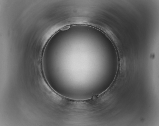 X0000111511432200907141325