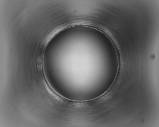 X0000111511433200907141325