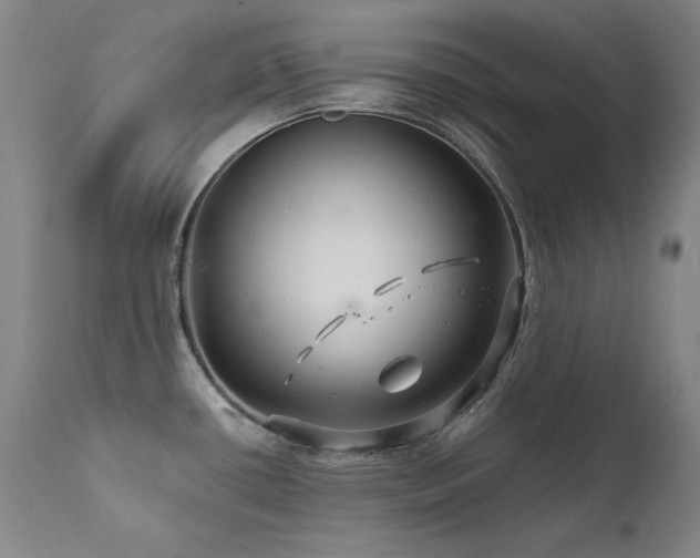X0000111511434200907141325
