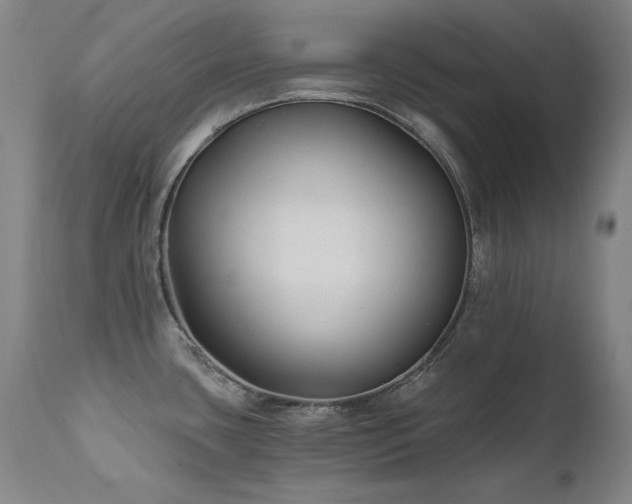 X0000111511435200907141325