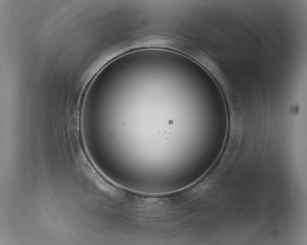 X0000111511436200907141325