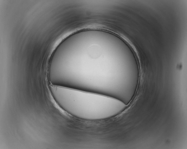 X0000111511437200907141325