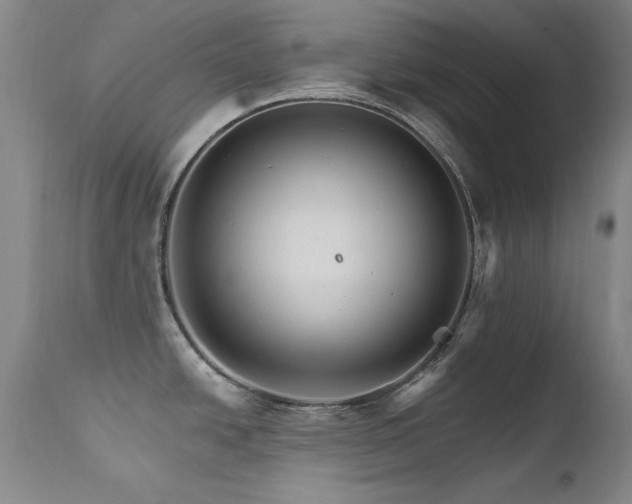 X0000111511438200907141325