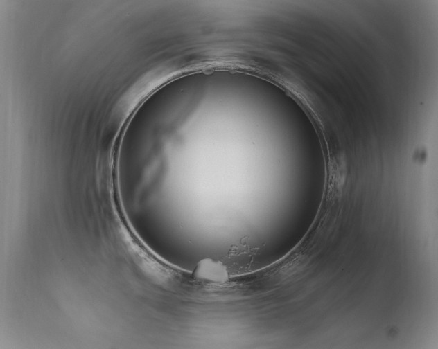 X0000111511439200907141325