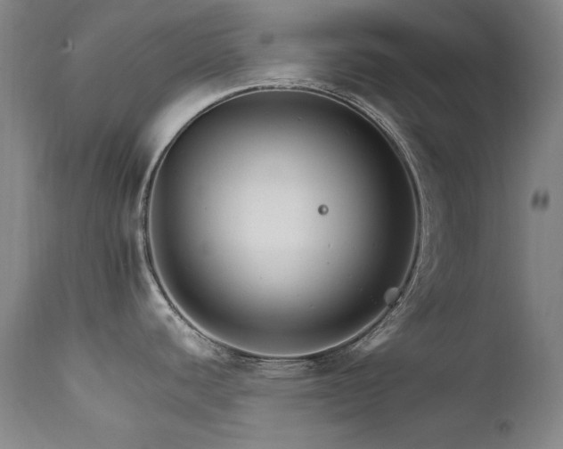 X0000111511440200907141325