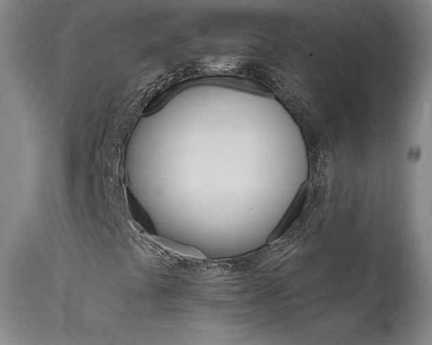 X0000111511441200907141325