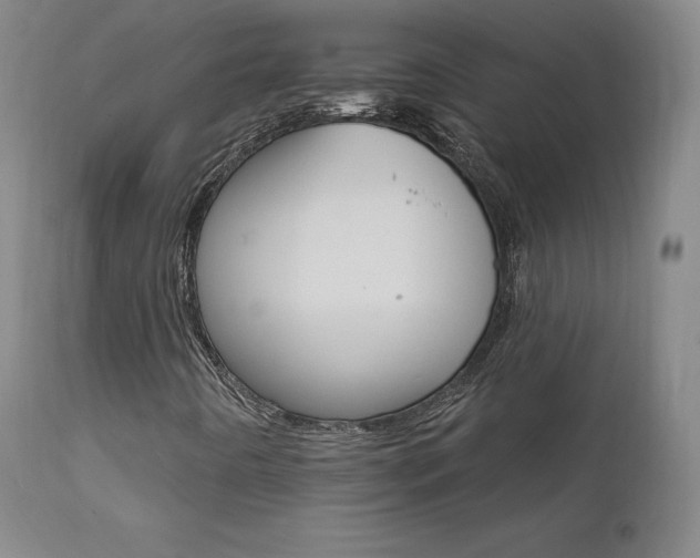 X0000111511442200907141325