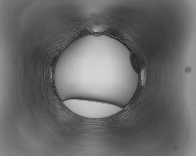 X0000111511443200907141325