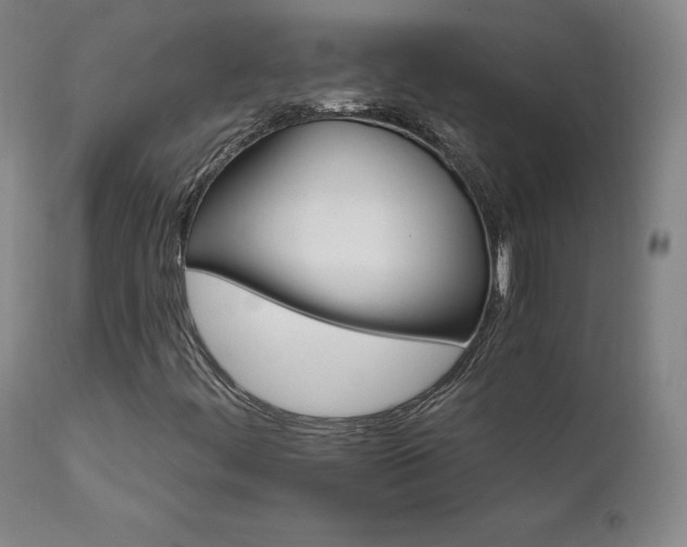 X0000111511444200907141325