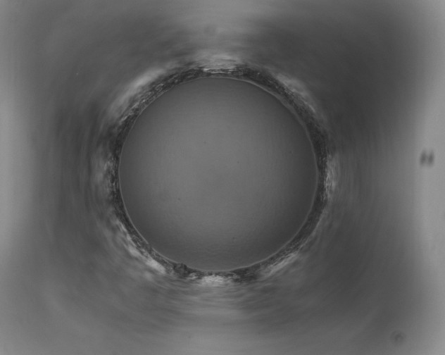 X0000111511445200907141325