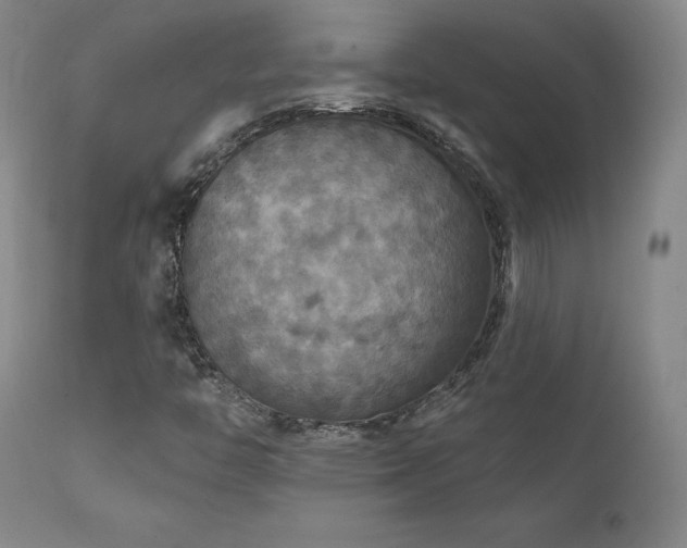 X0000111511446200907141325