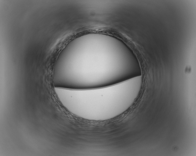 X0000111511447200907141325