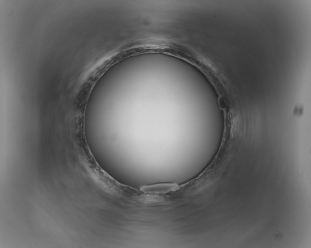 X0000111511448200907141325