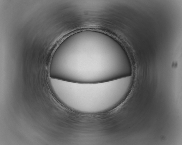 X0000111511449200907141325