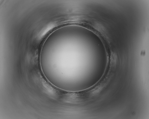 X0000111511450200907141325