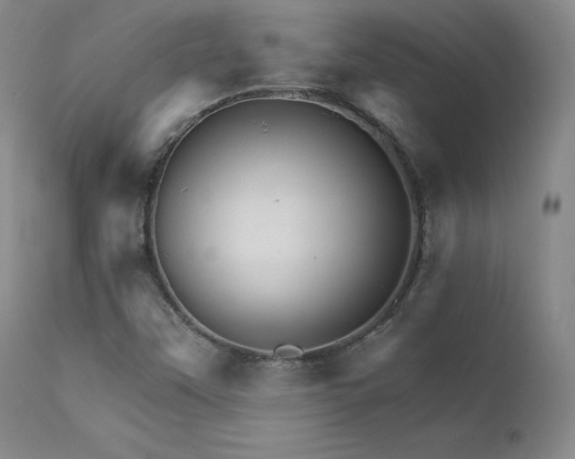 X0000111511451200907141325