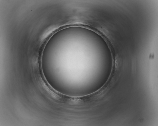 X0000111511452200907141325