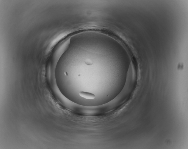 X0000111511453200907141325