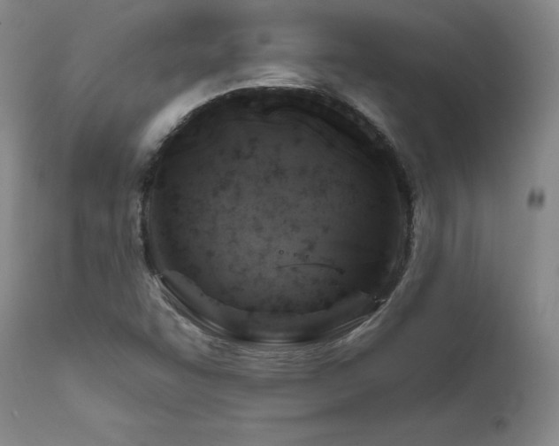 X0000111511455200907141324