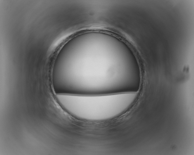 X0000111511456200907141324