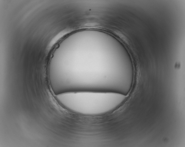 X0000111511458200907141324