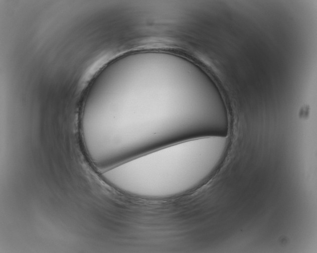 X0000111511459200907141324